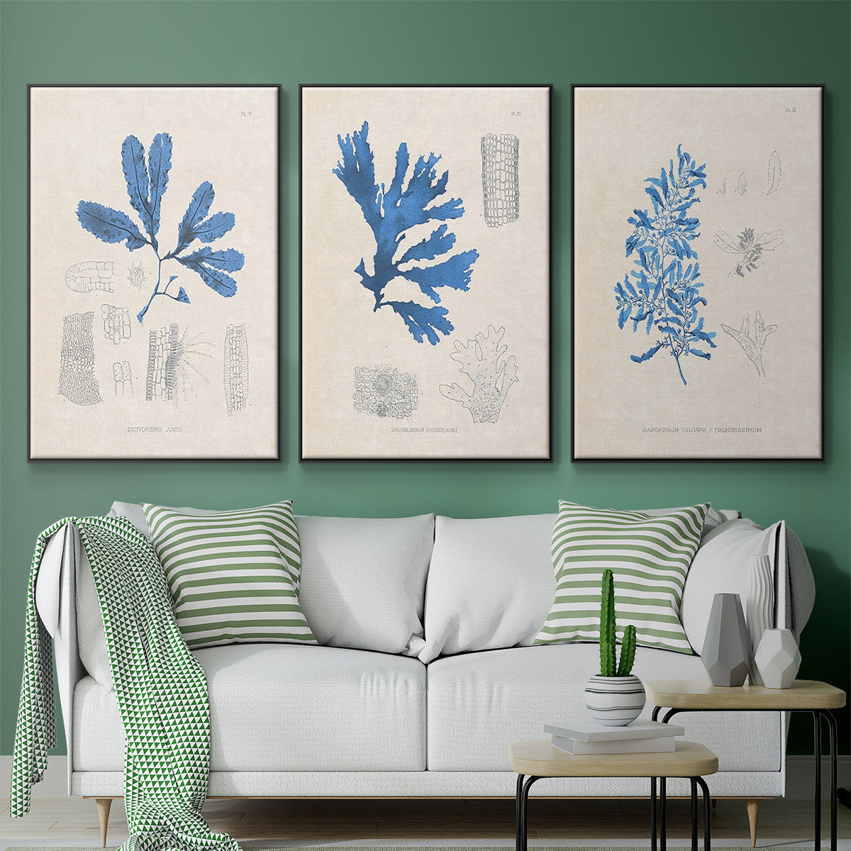 Blue Marine Algae VI - Framed Premium Gallery Wrapped Canvas L Frame 3 Piece Set - Ready to Hang