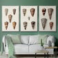 Cone Shell Collection I - Framed Premium Gallery Wrapped Canvas L Frame 3 Piece Set - Ready to Hang