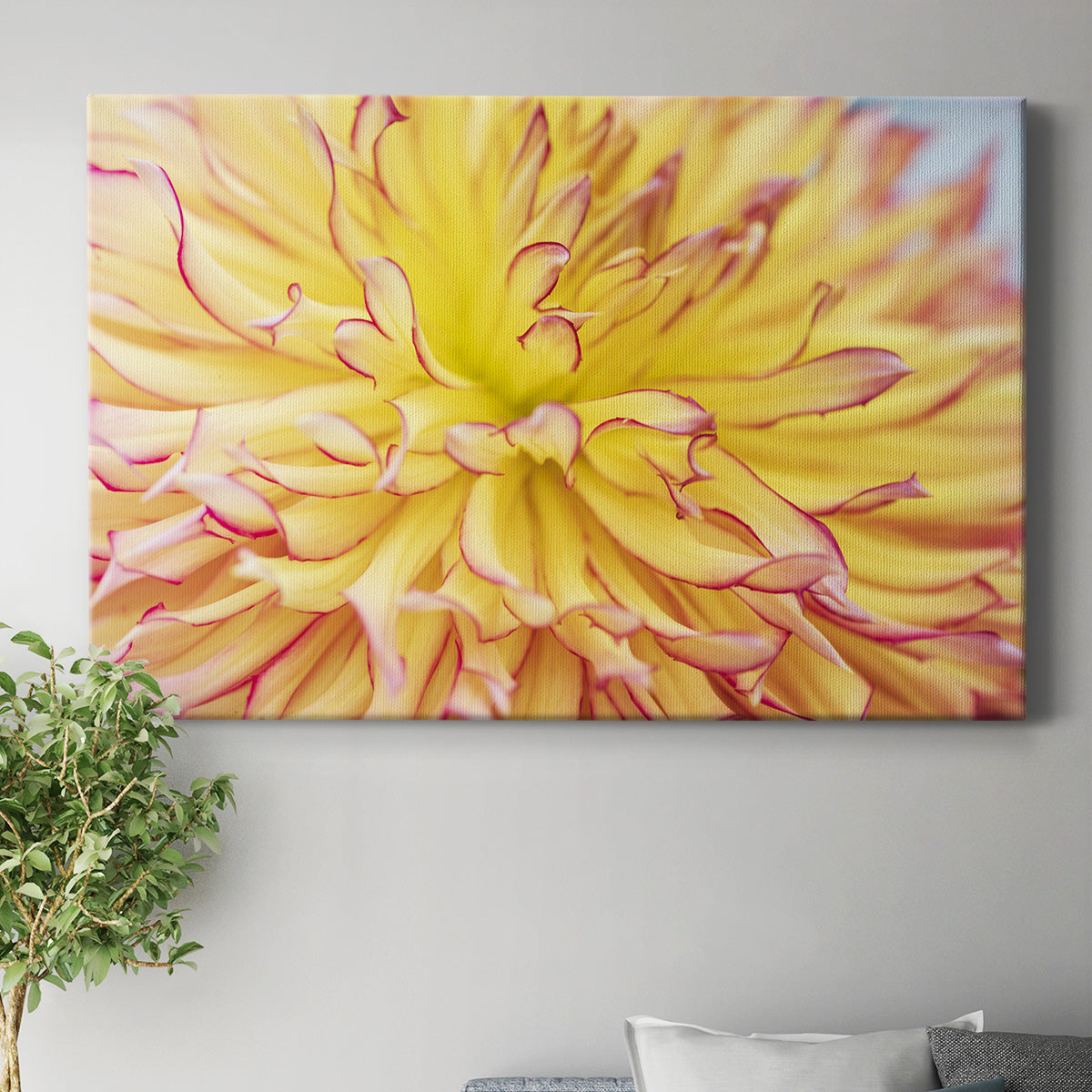 Blooms III Premium Gallery Wrapped Canvas - Ready to Hang