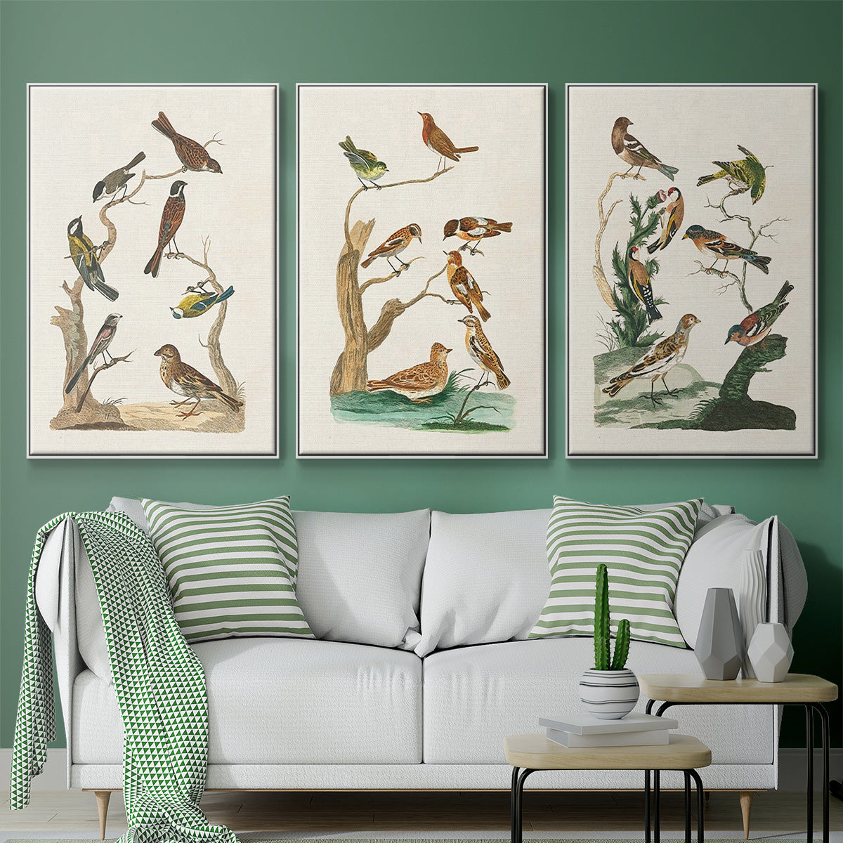 Antique Birds in Nature I - Framed Premium Gallery Wrapped Canvas L Frame 3 Piece Set - Ready to Hang