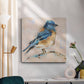 Bird Variety III-Premium Gallery Wrapped Canvas - Ready to Hang