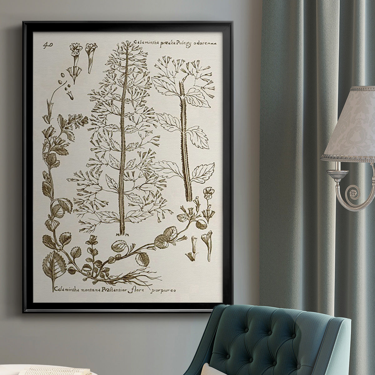 Sepia Botanical Journal V - Modern Framed Canvas Print