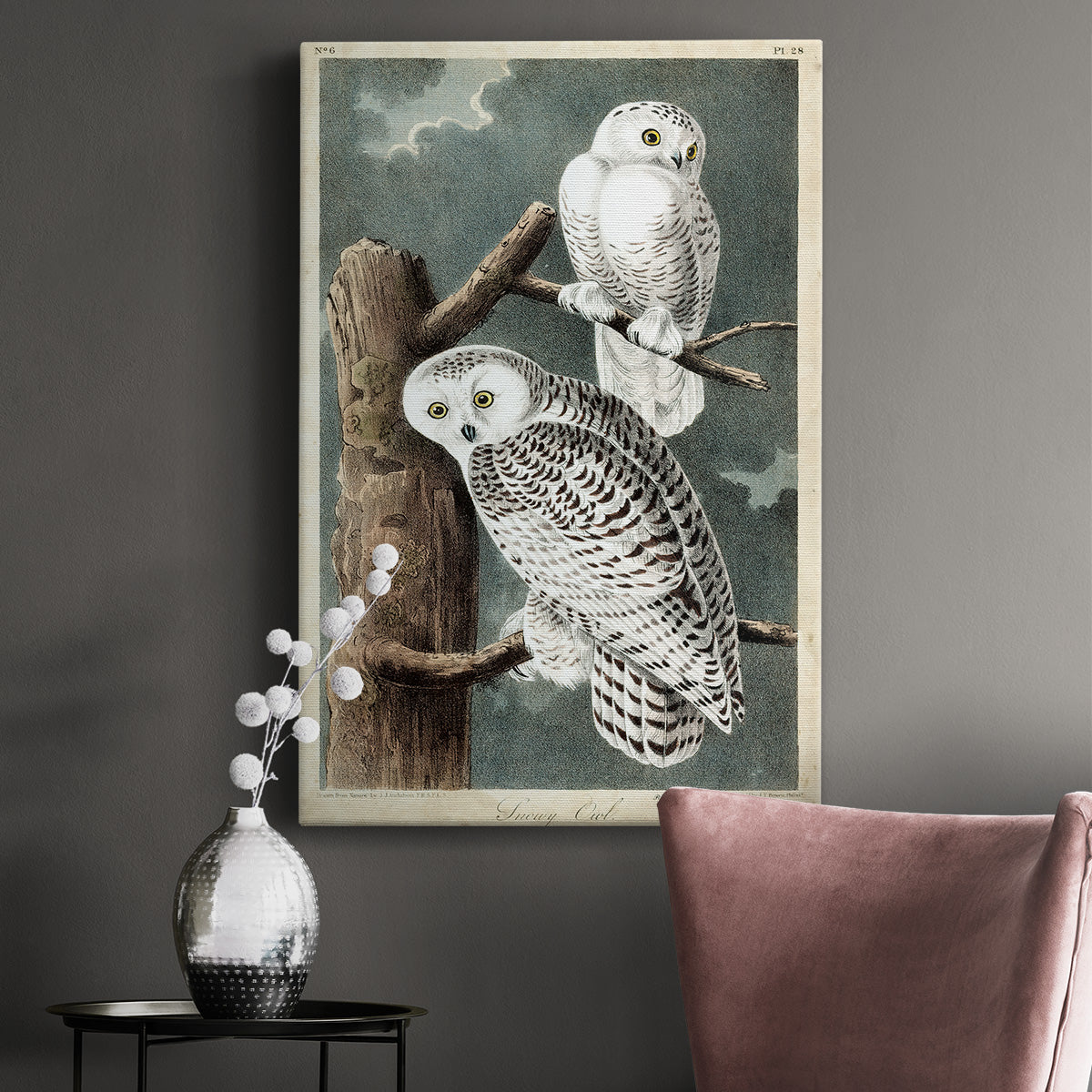 Audubons Snowy Owl Premium Gallery Wrapped Canvas - Ready to Hang