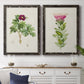 Set of two black barnwood framed canvas prints depicting a coordinated art pair of pink flowering plant specimens rendered as vintage botanical plate illustrations above a dining room sideboard.