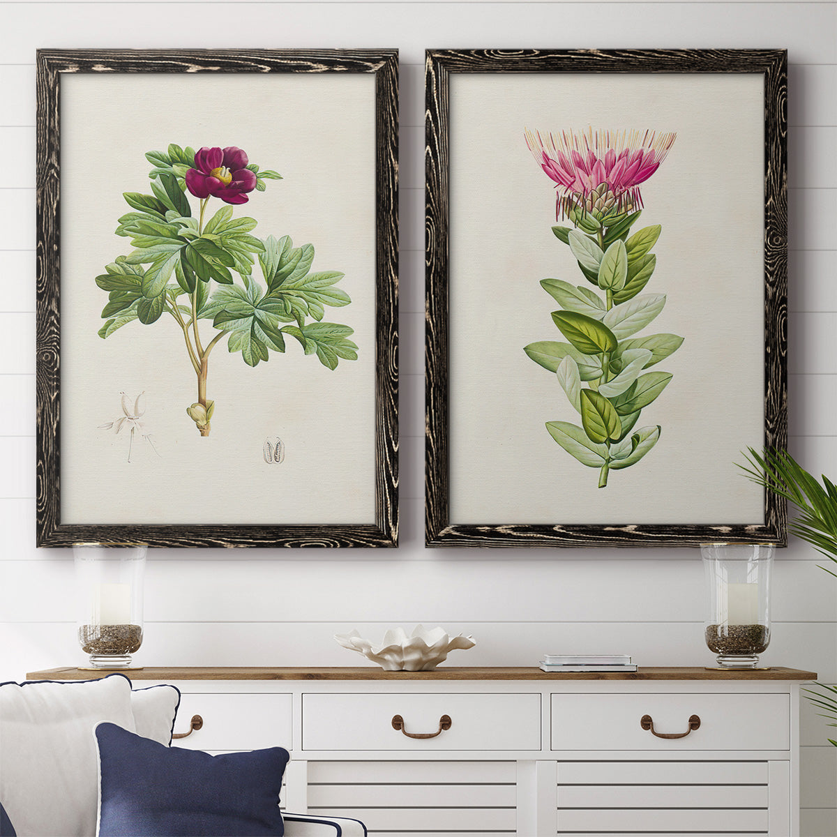 Set of two black barnwood framed canvas prints depicting a coordinated art pair of pink flowering plant specimens rendered as vintage botanical plate illustrations above a dining room sideboard.