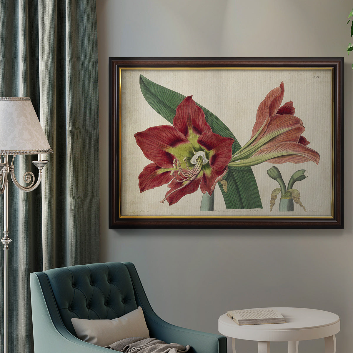 Amaryllis Splendor I Premium Framed Canvas- Ready to Hang