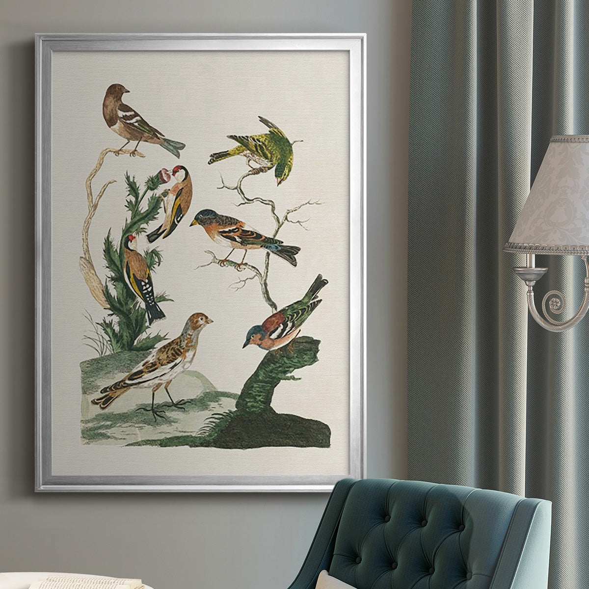 Antique Birds in Nature I - Modern Framed Canvas Print