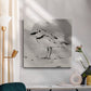 Inky Plover II - Canvas Art Print