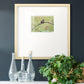 Resting Sparrow Premium Framed Print Double Matboard