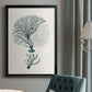 Antique Coastal Coral III - Modern Framed Canvas Print