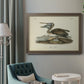 Audubons Brown Pelican - Ornate Framed Canvas Print