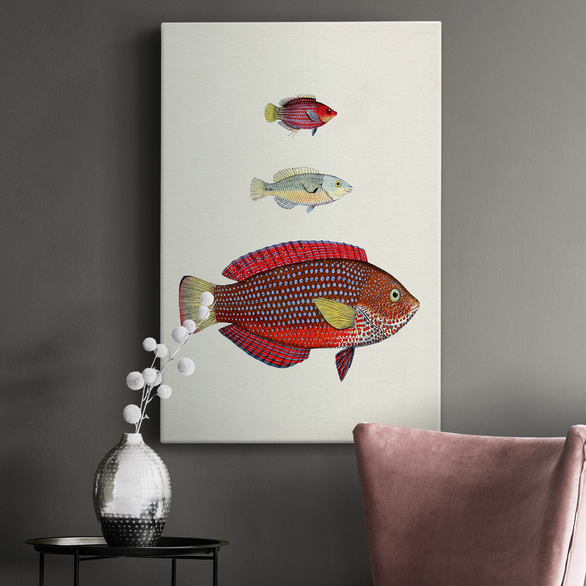 Colorful Tropical Fish II Premium Gallery Wrapped Canvas - Ready to Hang