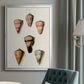 Cone Shell Collection IV - Modern Framed Canvas Print