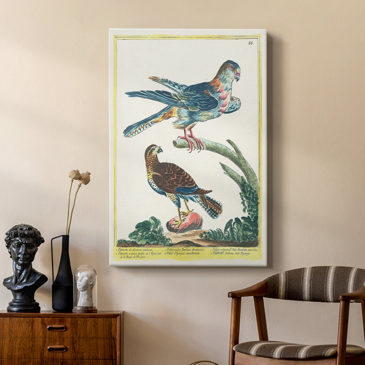 Falcons, 1771-1775 - Canvas Art Print