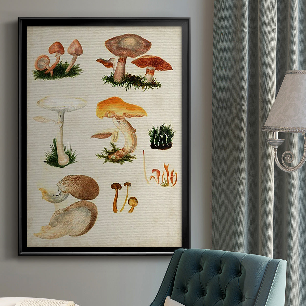 Mushroom Species IV - Modern Framed Canvas Print