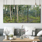 Three-panel canvas wall art featuring woodland forest scene with tall trees, displayed in a modern living room above seating.