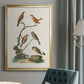 Antique Birds in Nature IV - Modern Framed Canvas Print