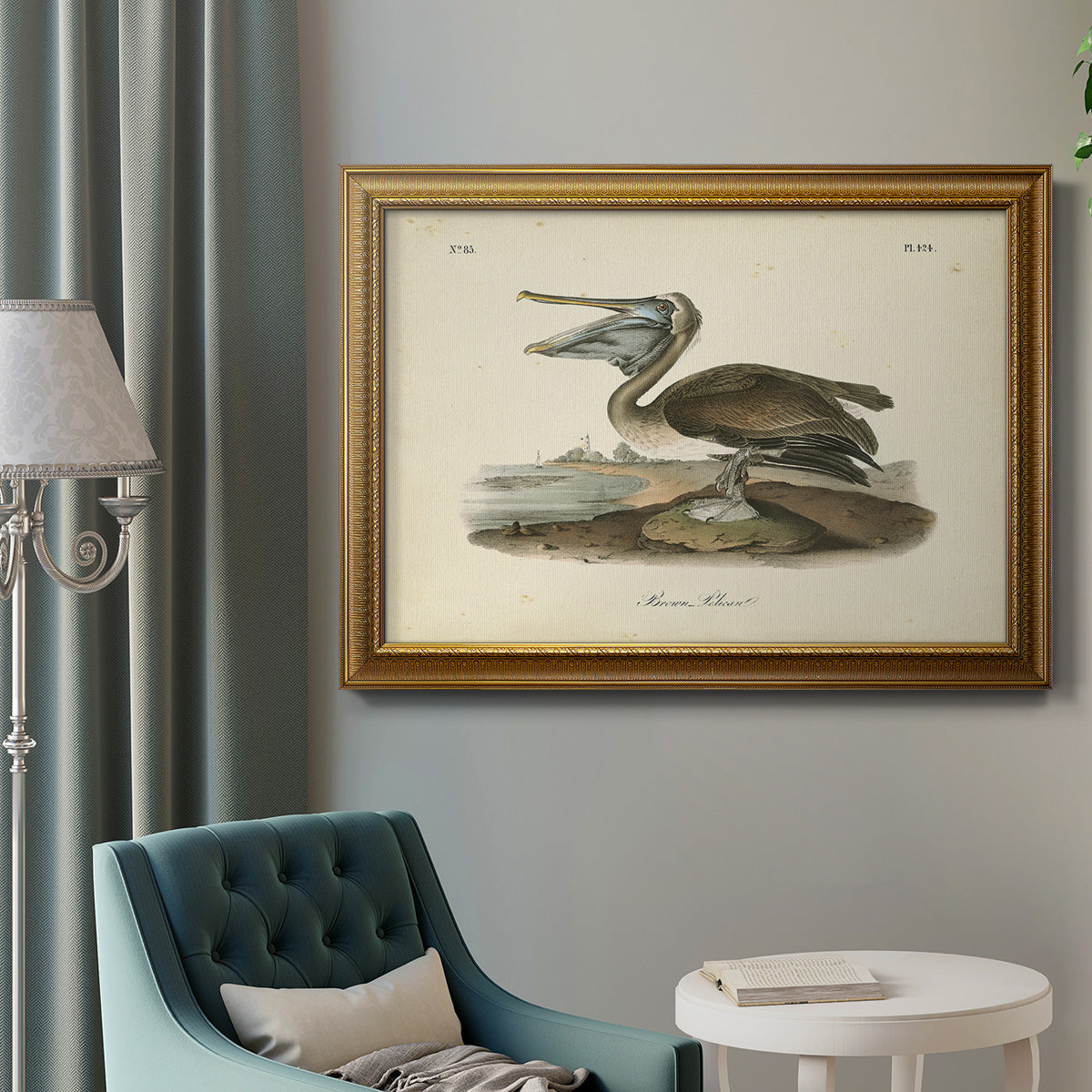 Audubons Brown Pelican - Ornate Framed Canvas Print
