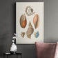 Knorr Shells & Coral I Premium Gallery Wrapped Canvas - Ready to Hang