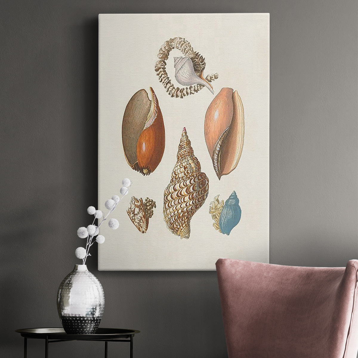 Knorr Shells & Coral I Premium Gallery Wrapped Canvas - Ready to Hang