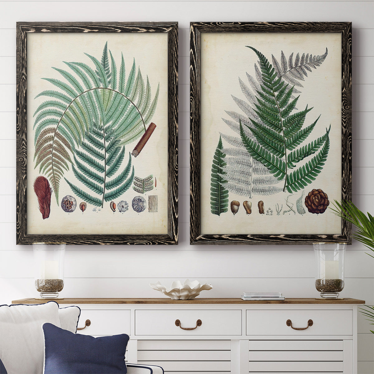 Set of two black barnwood framed canvas prints depicting a coordinated art pair of vintage fern specimens with botanical details rendered as natural-history fern plates above a dining room sideboard.