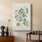 Buchoz Tropicals V - Canvas Art Print