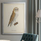 French Owls VI - Modern Framed Canvas Print