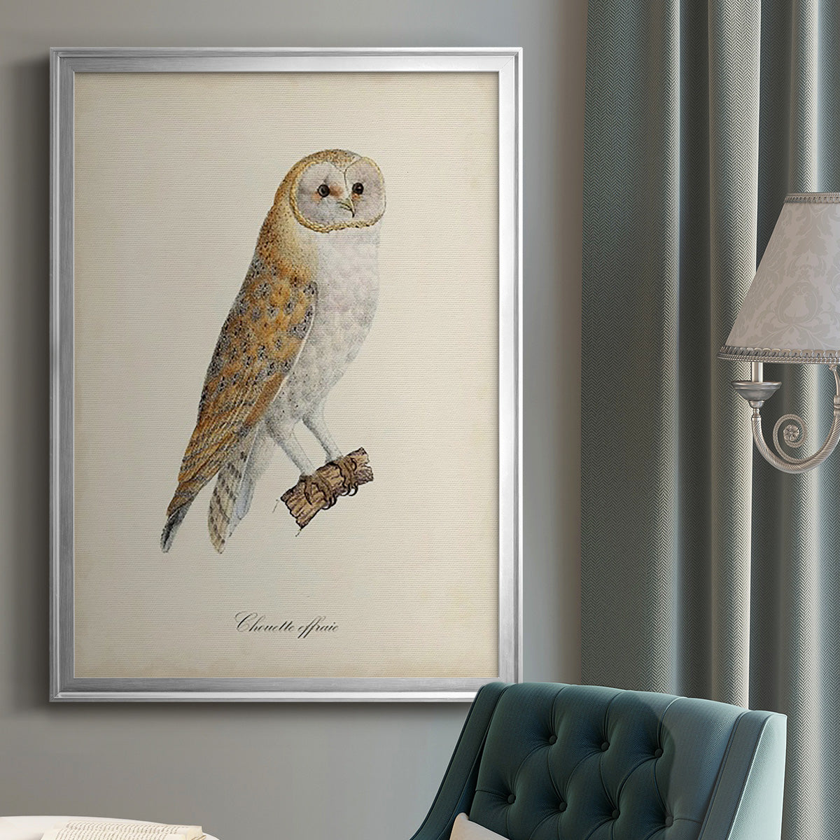 French Owls VI - Modern Framed Canvas Print