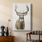 Handsome Whitetail II - Canvas Art Print