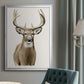 Handsome Whitetail II - Modern Framed Canvas Print