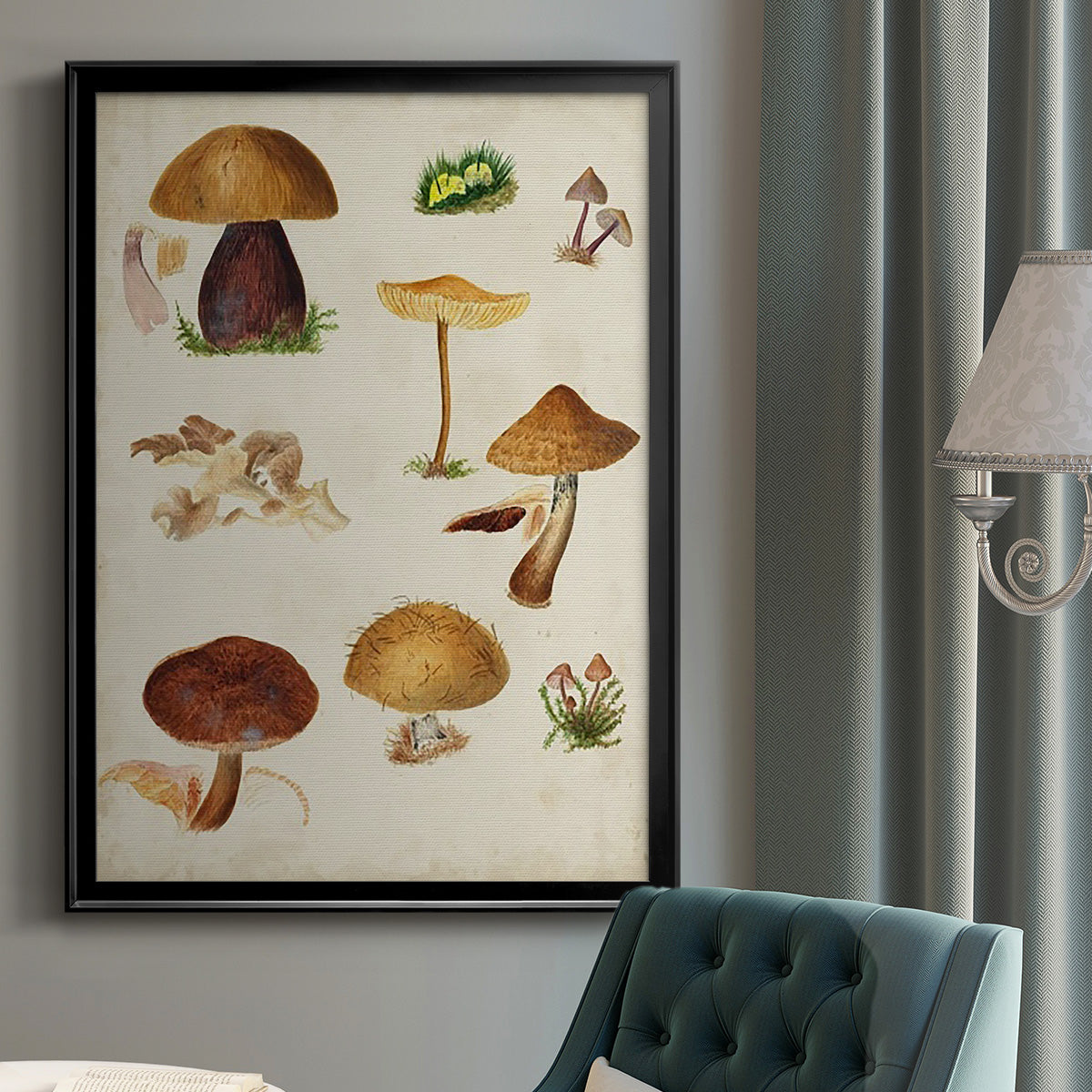 Mushroom Species II - Modern Framed Canvas Print