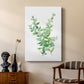 Eucalyptus III - Canvas Art Print