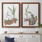 Purrfect Plants III - Premium Framed Canvas 2 Piece Set - Ready to Hang