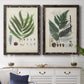 Set of two black barnwood framed canvas prints depicting a coordinated art pair of vintage fern specimens with botanical details rendered as natural-history fern plates above a dining room sideboard.