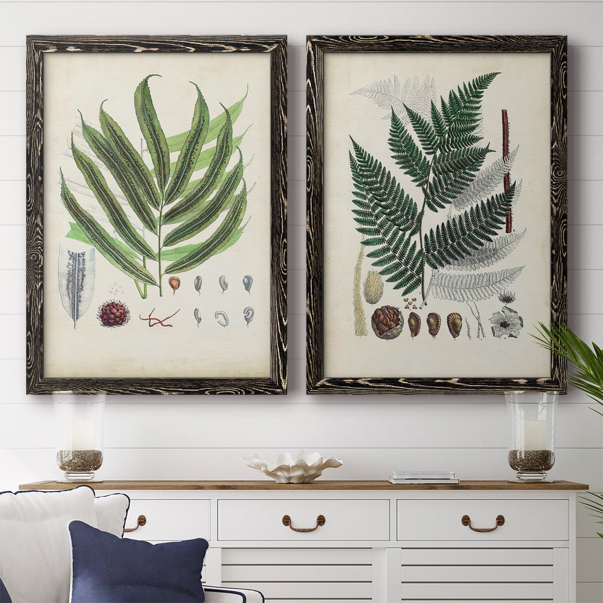 Set of two black barnwood framed canvas prints depicting a coordinated art pair of vintage fern specimens with botanical details rendered as natural-history fern plates above a dining room sideboard.