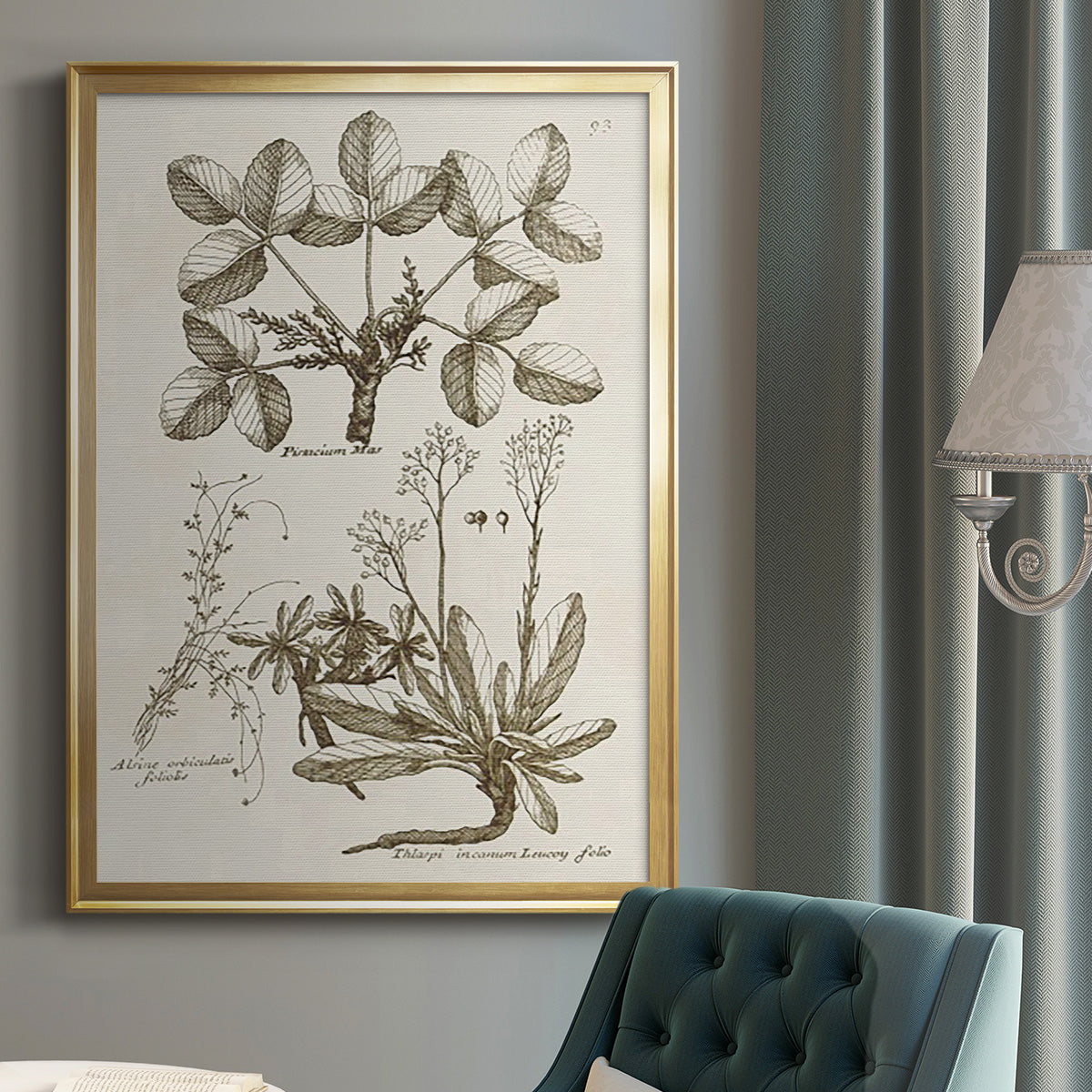 Sepia Botanical Journal VI - Modern Framed Canvas Print