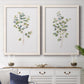 Eucalyptus I   - Premium Framed Canvas 2 Piece Set - Ready to Hang