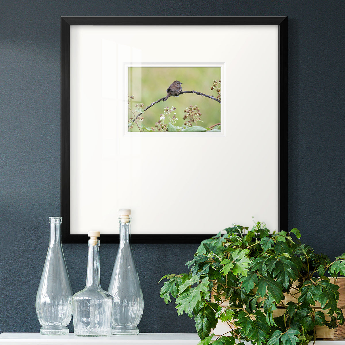 Resting Sparrow Premium Framed Print Double Matboard