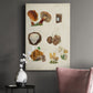 Mushroom Species I Premium Gallery Wrapped Canvas - Ready to Hang