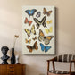 Collected Flutter II - Canvas Art Print
