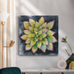 Succulent Rosette IV - Canvas Art Print