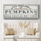 Pumpkin Patch I - Floater Framed Canvas Print