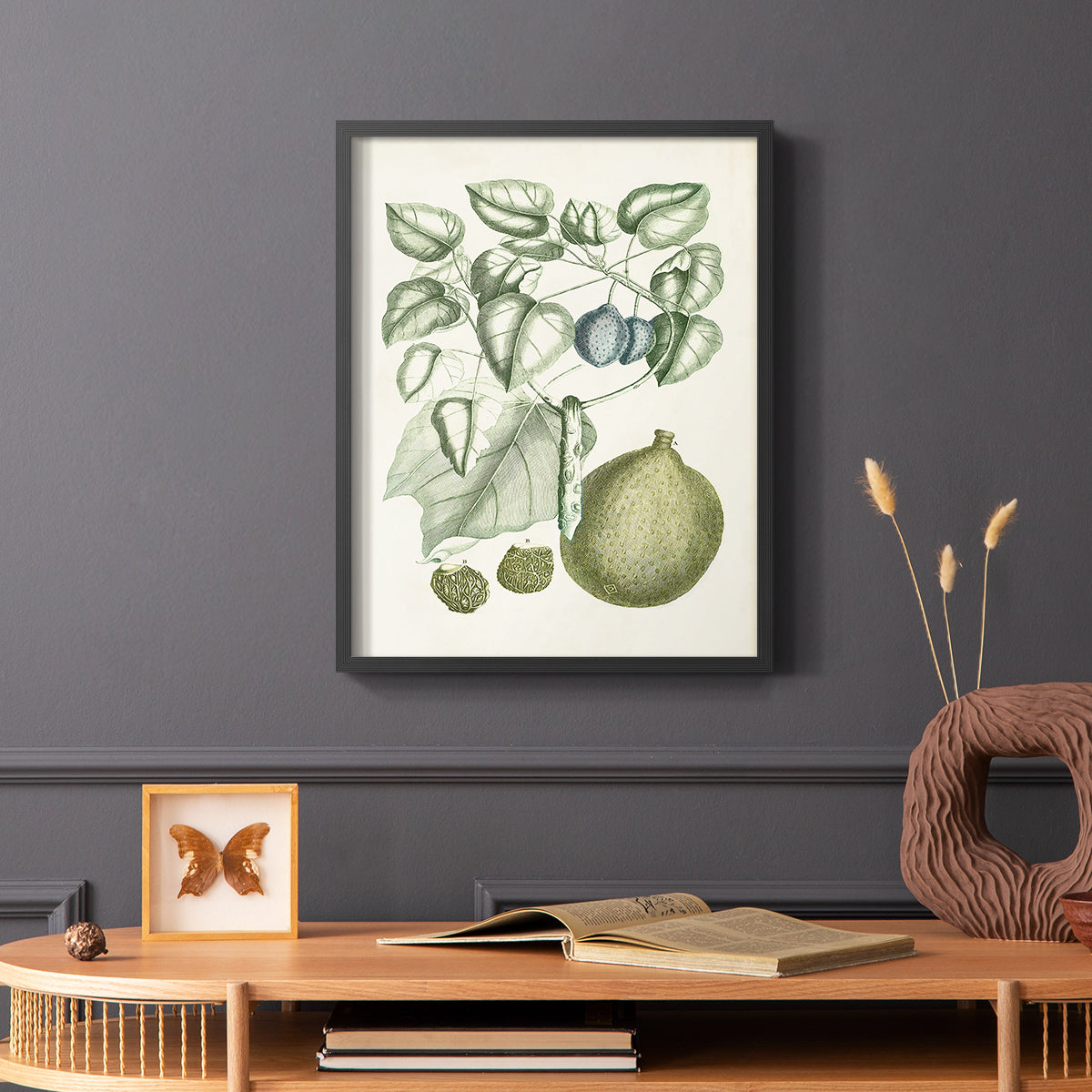 Buchoz Tropicals VIII - Restickable Framed Art Print
