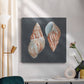 Shell on Slate V - Canvas Art Print