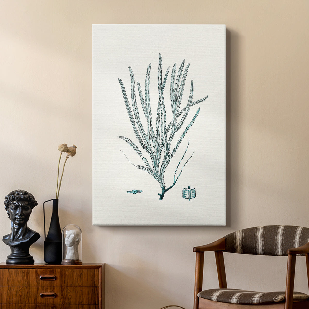 Antique Coastal Coral VII - Canvas Art Print