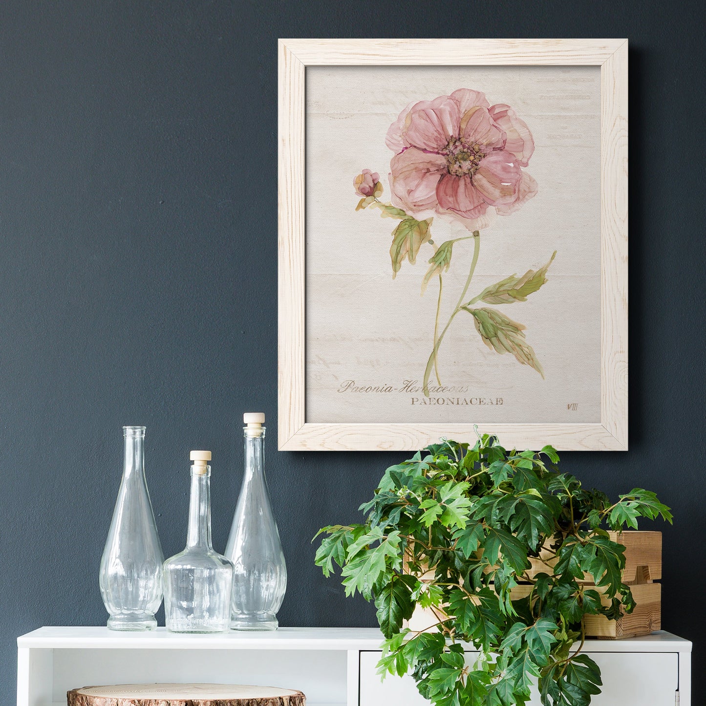 Soft Peony - Premium Canvas Framed in Barnwood - Ready to Hang