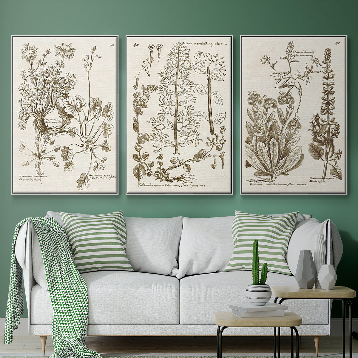 Sepia Botanical Journal IV - Framed Premium Gallery Wrapped Canvas L Frame 3 Piece Set - Ready to Hang