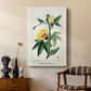 Turpin Tropical Botanicals VI - Canvas Art Print