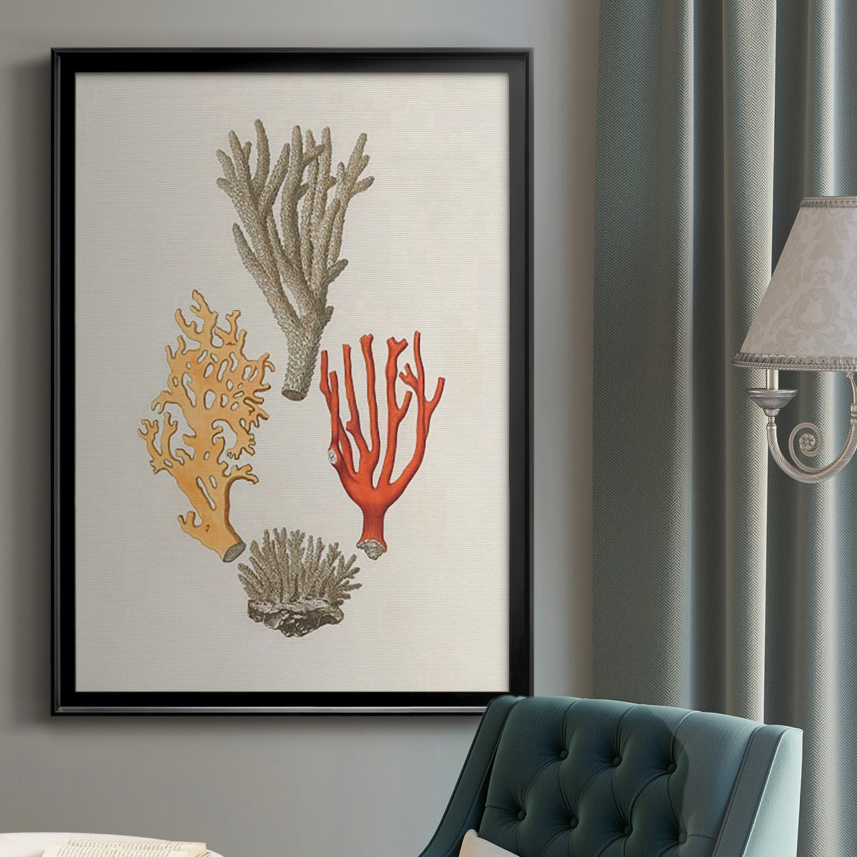 Knorr Shells & Coral IV - Modern Framed Canvas Print