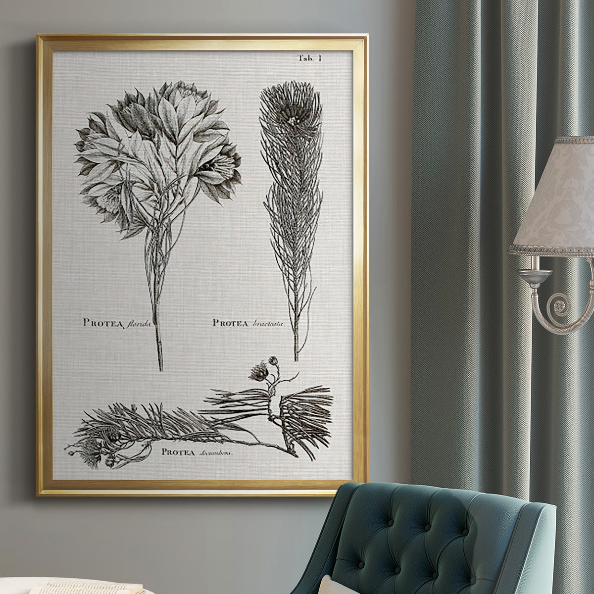 Black & White Protea on Linen I - Modern Framed Canvas Print